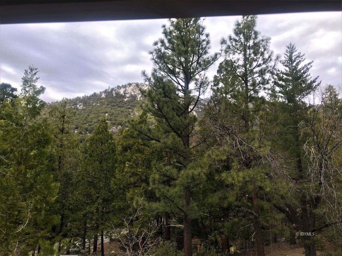 55441 Howland Road Idyllwild, CA 92549 - Photo 28 of 40 a view of a city with lush green forest