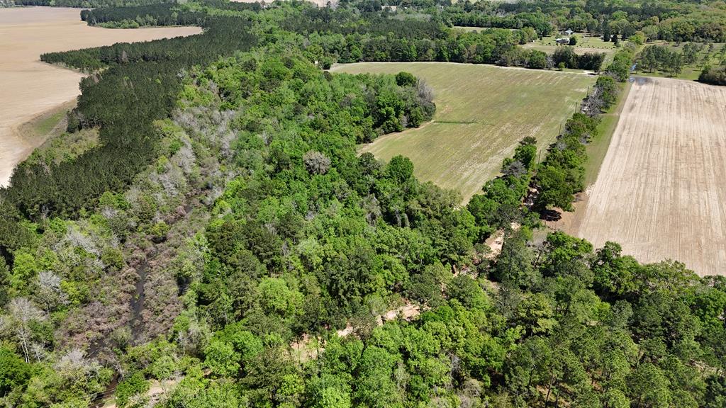 Vacant Rook Road Ochlocknee, GA 31773 - Photo 1 of 26 Gallery Image 1
