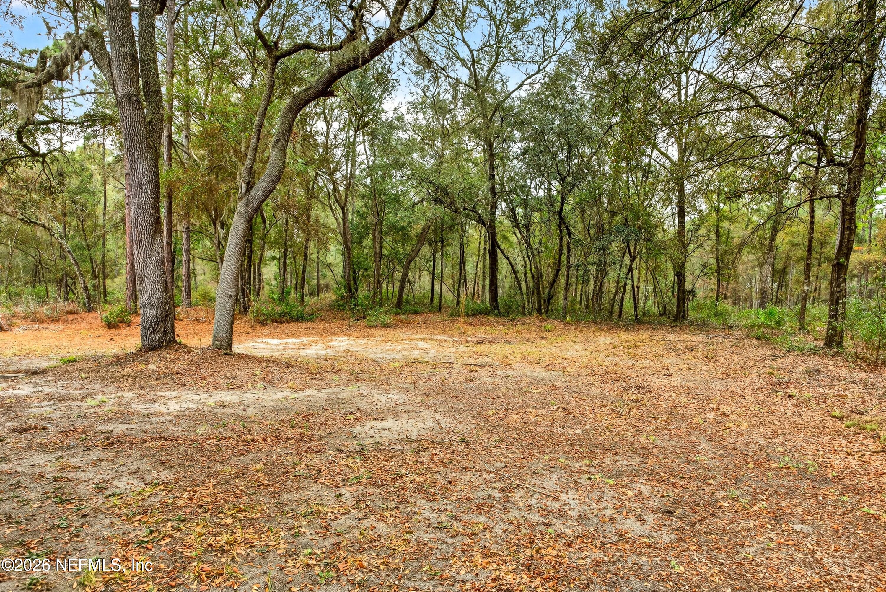 6928 Gilda Court Keystone Heights, FL 32656 - Photo 40 of 48 Yard 6928 Gilda Ct-1