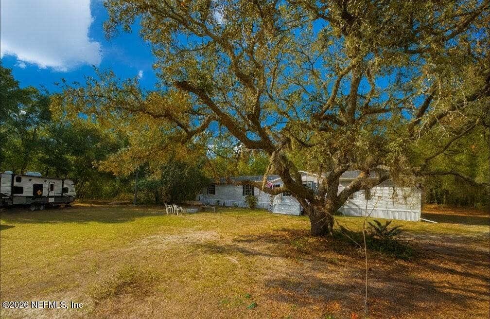 6928 Gilda Court Keystone Heights, FL 32656 - Photo 43 of 48 Front of home tree a