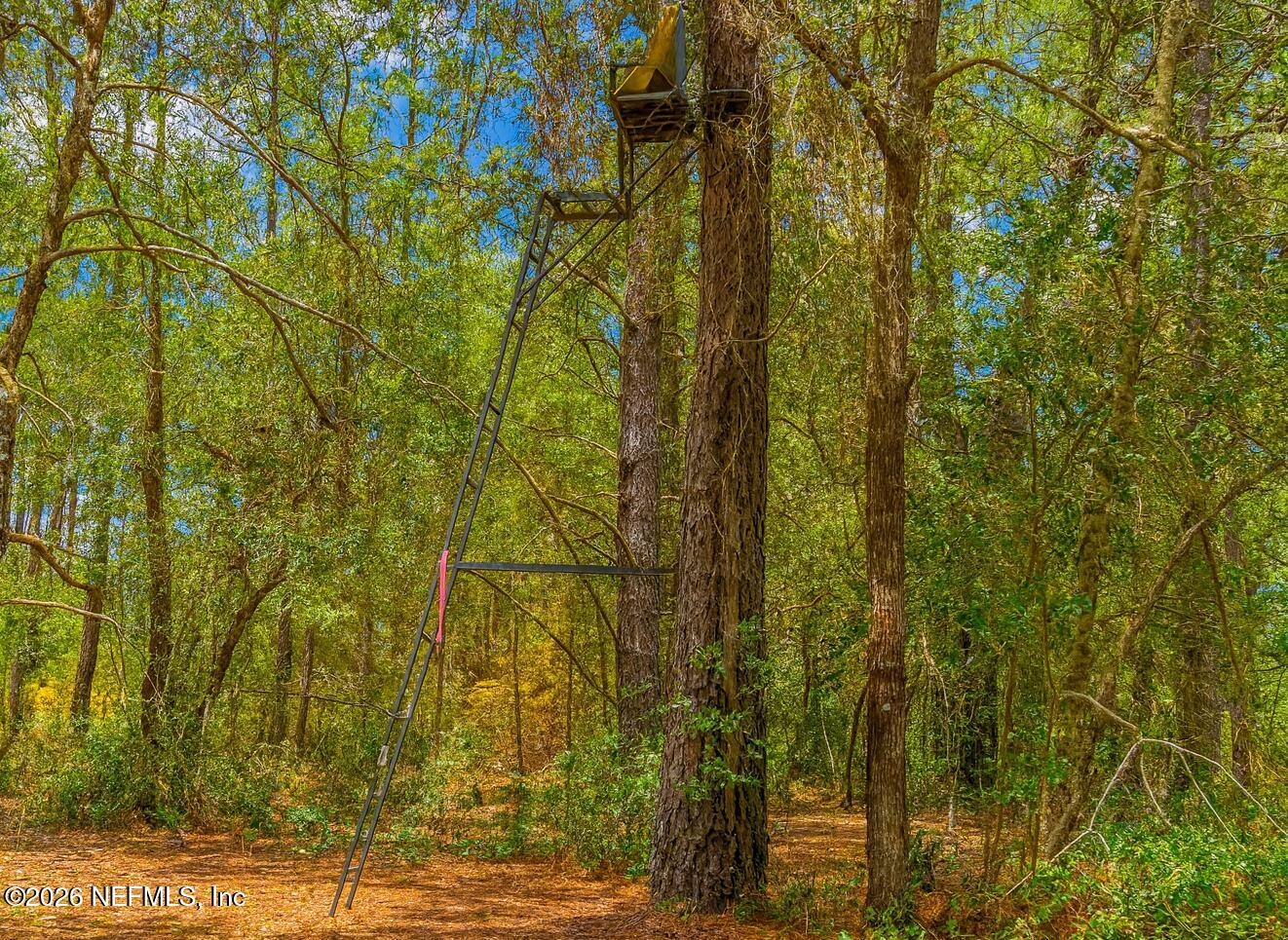 6928 Gilda Court Keystone Heights, FL 32656 - Photo 44 of 48 Tree Stand 3 a