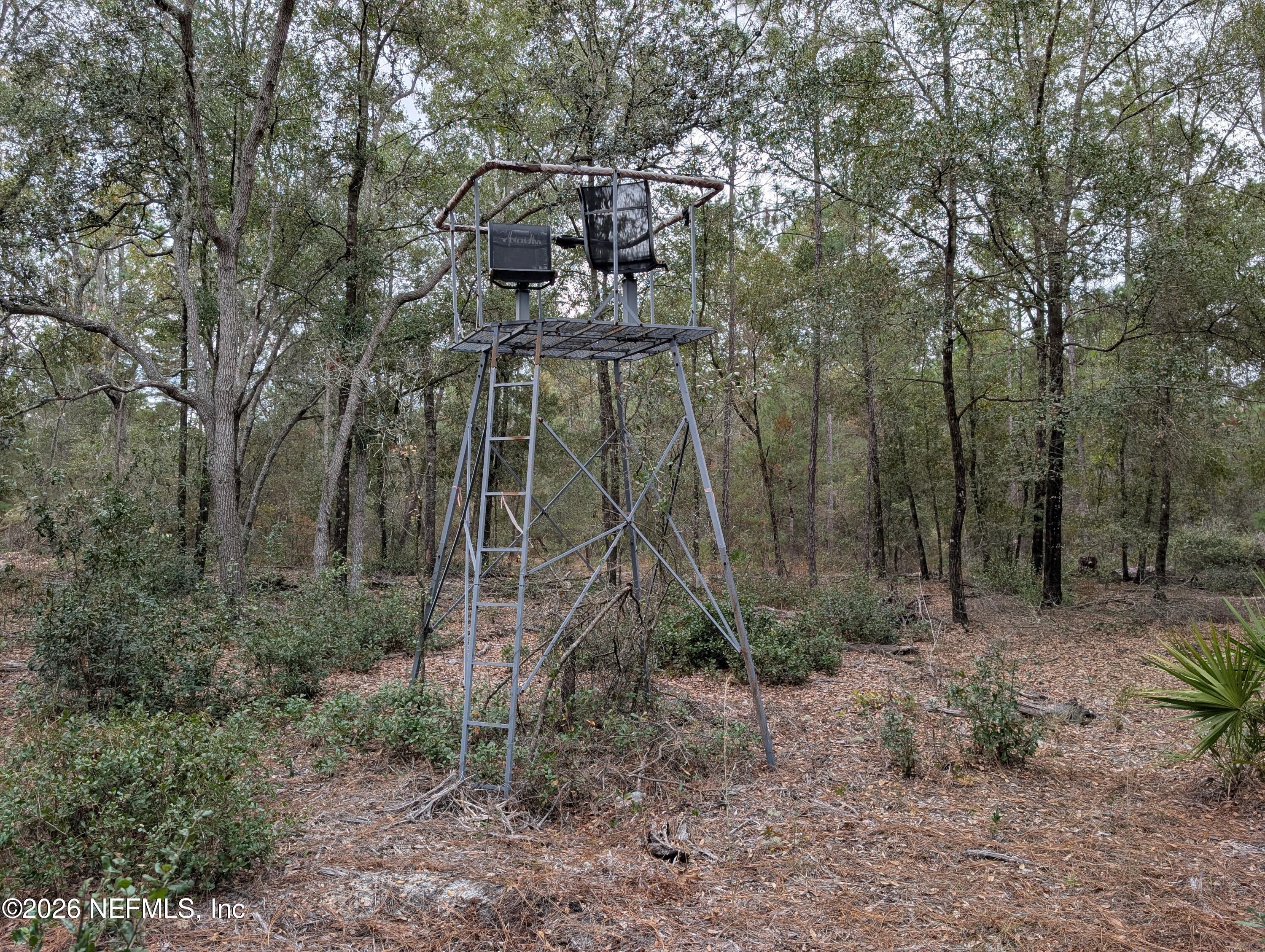 6928 Gilda Court Keystone Heights, FL 32656 - Photo 45 of 48 Tree Stand 1