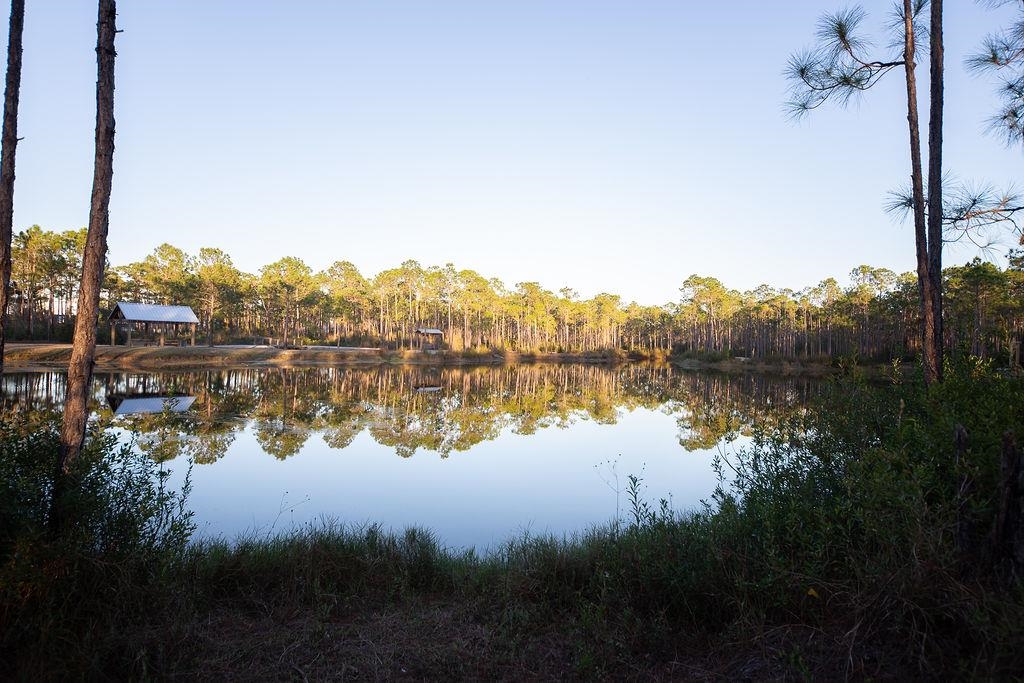 4204 Lauder Lane Orange Beach, AL 36561 - Photo 38 of 47