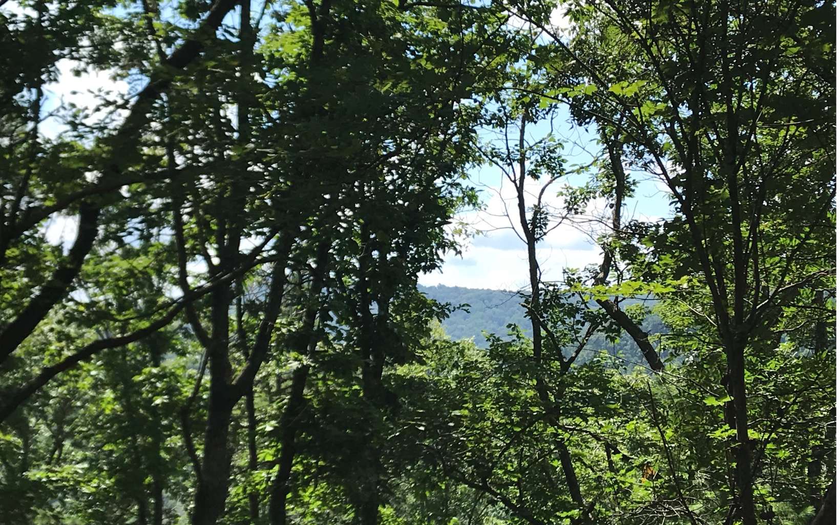 3.7-ac Raintree Bend Epworth, GA 30541 - Photo 1 of 1 Main View