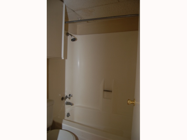 202 East 32nd Street, Unit 12 Austin, TX 78705 - Photo 5 of 6 a bathroom with a shower and a toilet