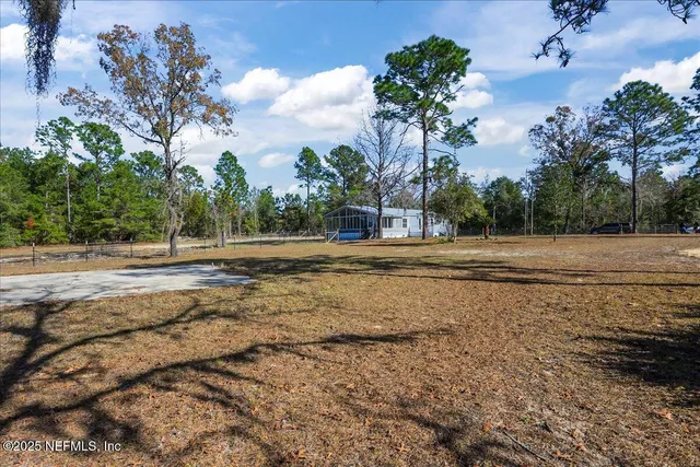 a view of a house with a yard and a large tree