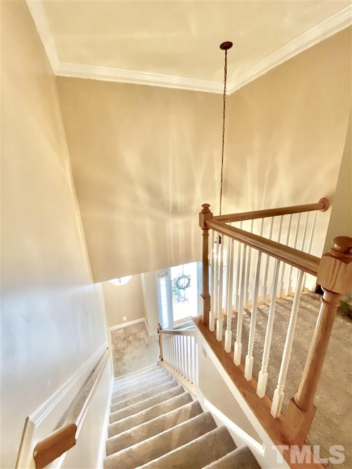 4548 Treerose Way Raleigh, NC 27606 - Photo 21 of 28 Gallery Image 21