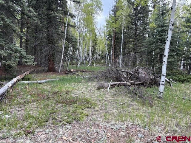 Tbd Tbd Adams Del Norte, CO 81132 - Photo 2 of 5 a backyard of a house with lots of green space