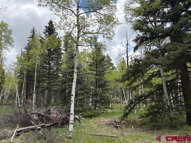 Tbd Tbd Adams Del Norte, CO 81132 - Photo 3 of 5 a view of a forest filled with trees