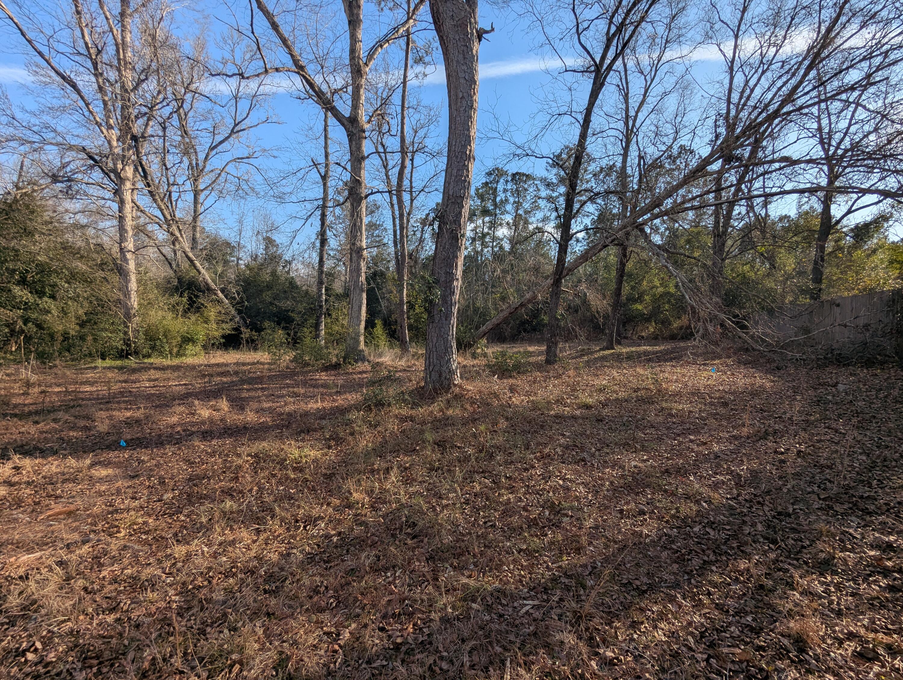 6206 Harlem Grovetown Road Harlem, GA 30814 - Photo 6 of 6 PXL_20260203_204747159