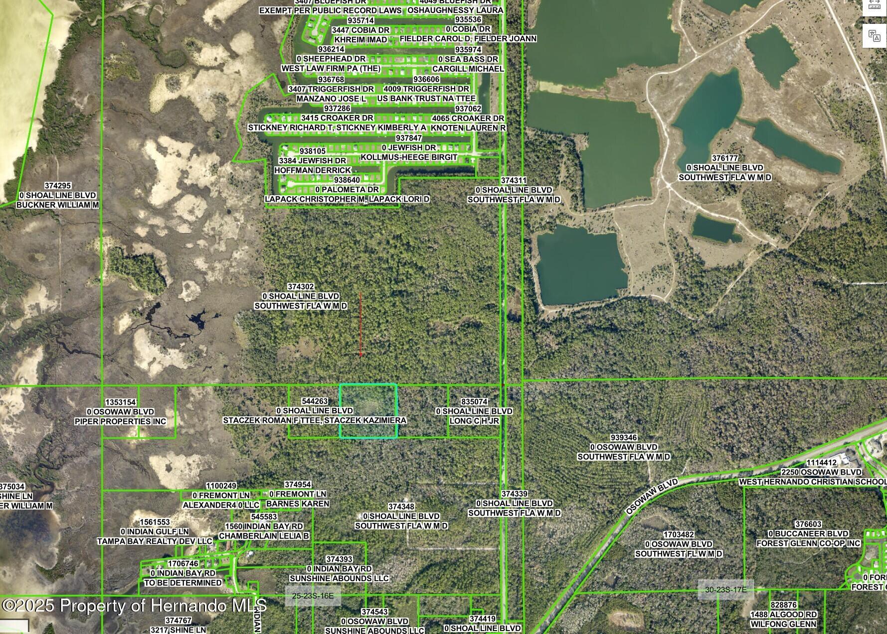 0 Shoal Line Boulevard Hernando Beach, FL 34607 - Photo 3 of 4
