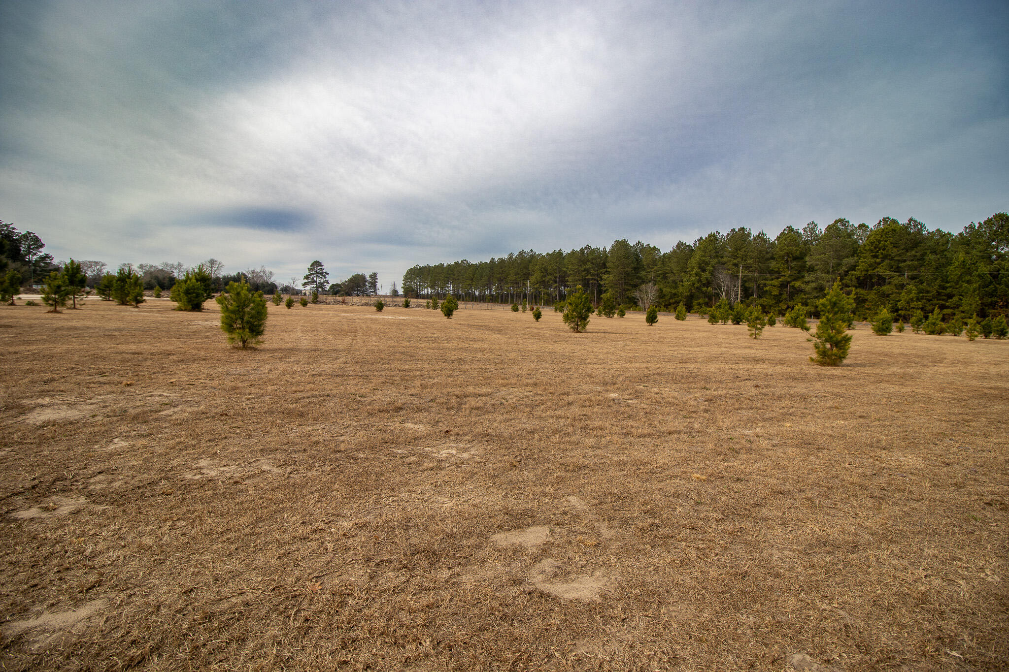 142 Hopewell Road North, SC 29112 - Photo 20 of 112