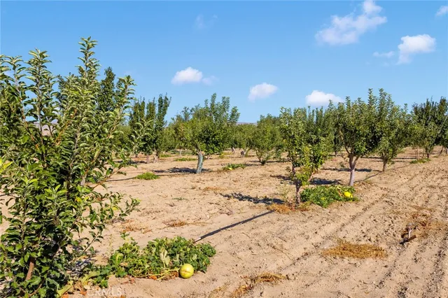 a view of a garage with storage