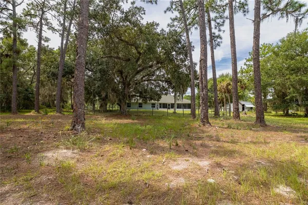 a view of a yard with plants and a trees