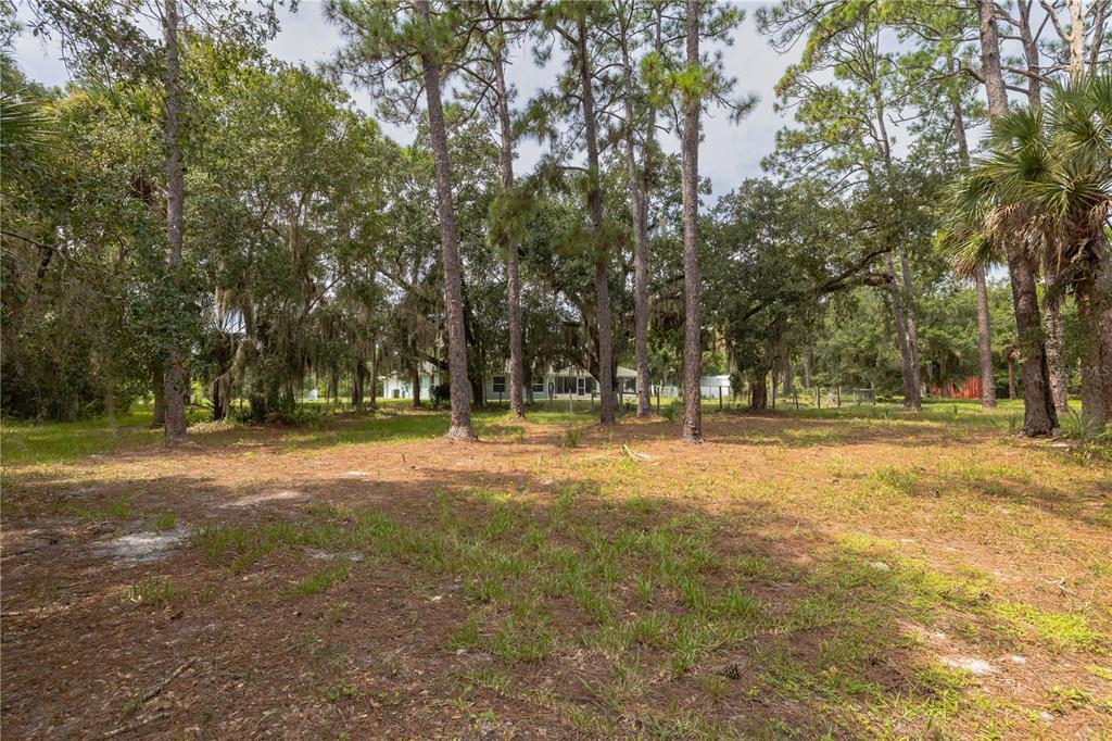 4245 Clinton Cemetery Road Edgewater, FL 32141 - Photo 37 of 60 a view of outdoor space with trees