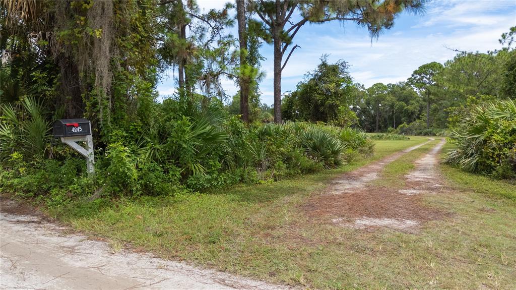 4245 Clinton Cemetery Road Edgewater, FL 32141 - Photo 43 of 60 a view of a yard with plants and a trees