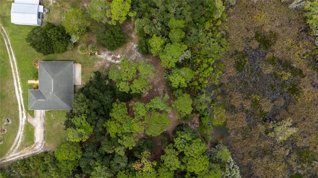 4245 Clinton Cemetery Road Edgewater, FL 32141 - Photo 56 of 60 an aerial view of a house with a tree
