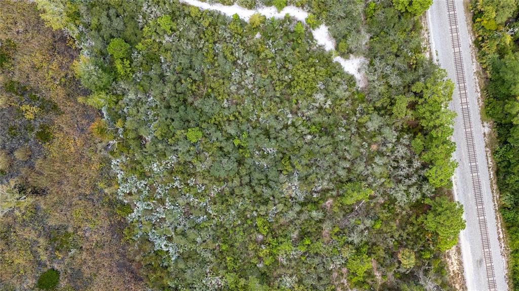 4245 Clinton Cemetery Road Edgewater, FL 32141 - Photo 58 of 60