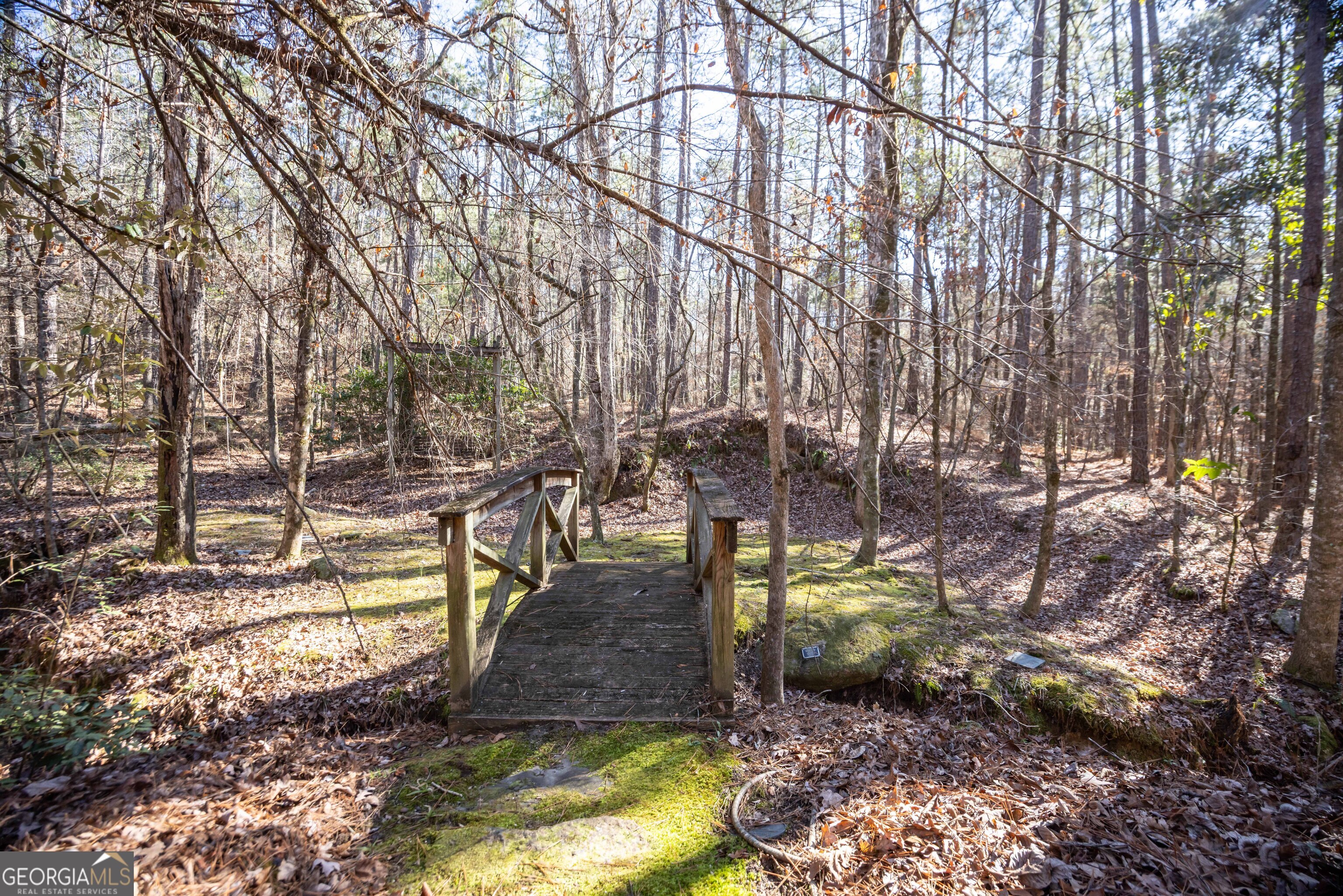 4 Mountain Ridge Court Columbus, GA 31904 - Photo 53 of 74 a backyard of a house with lots of green space