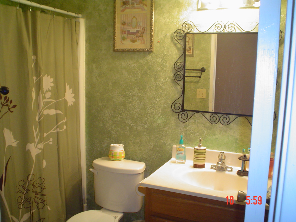 4539 East Wayland Road Phoenix, AZ 85040 - Photo 13 of 16 HALLWAY BATH!!!!!