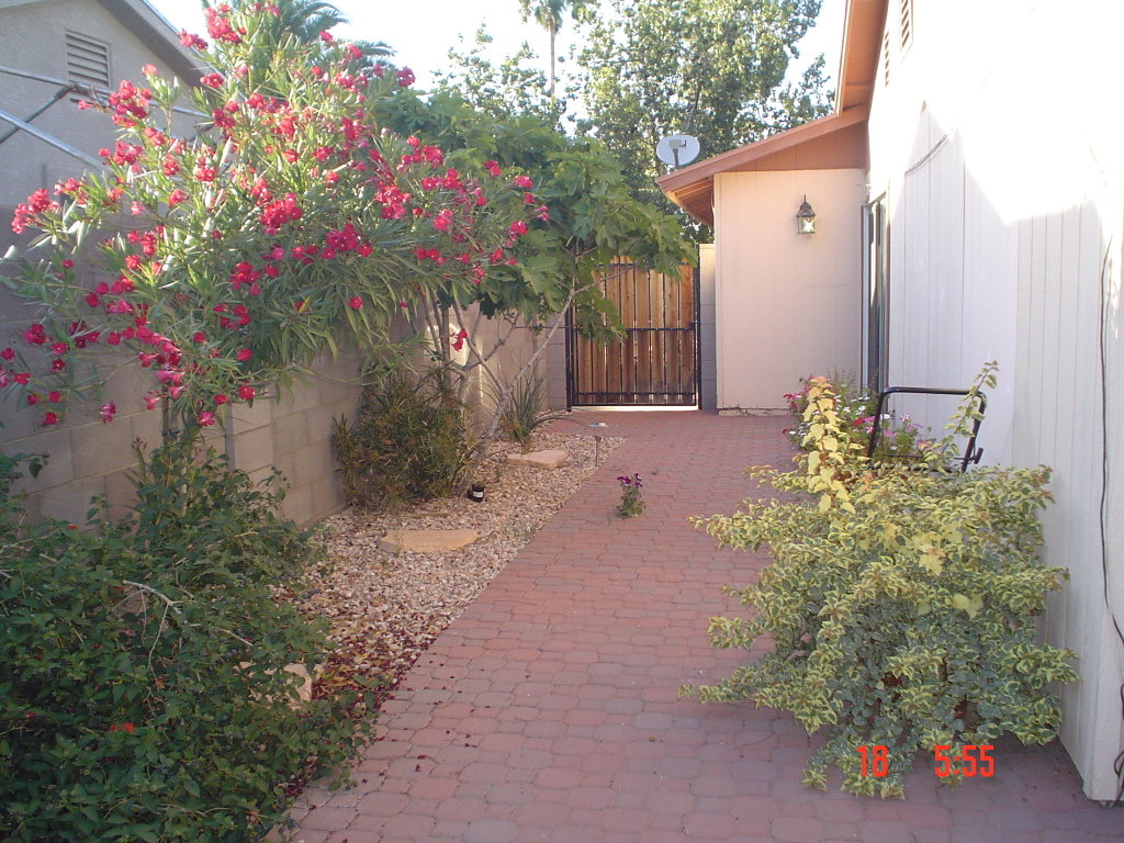 4539 East Wayland Road Phoenix, AZ 85040 - Photo 16 of 16 SIDE PATIO