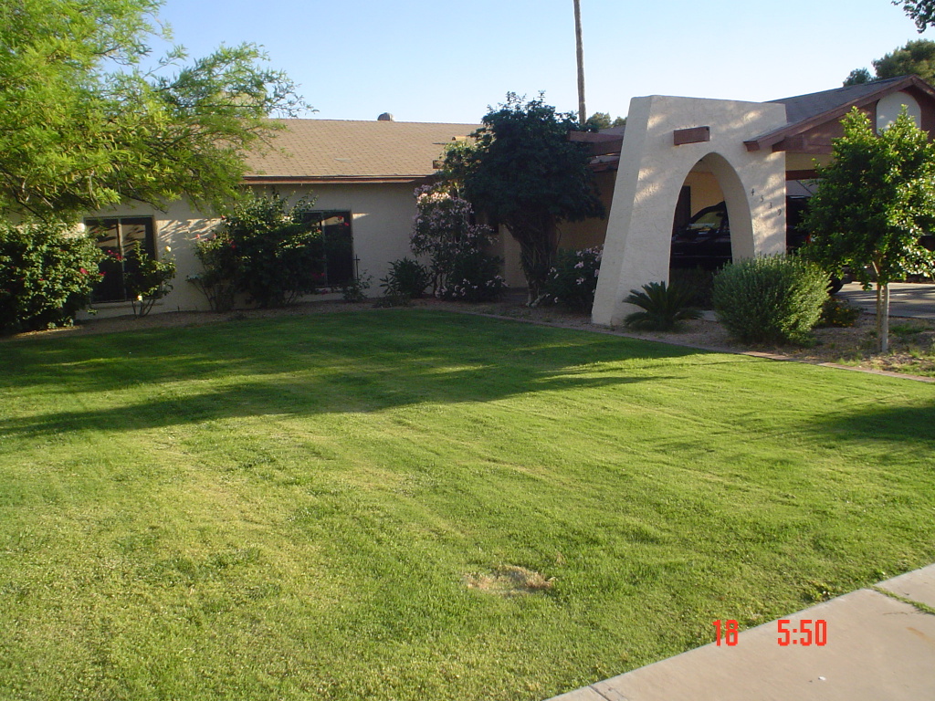 4539 East Wayland Road Phoenix, AZ 85040 - Photo 2 of 16 LARGE YARD