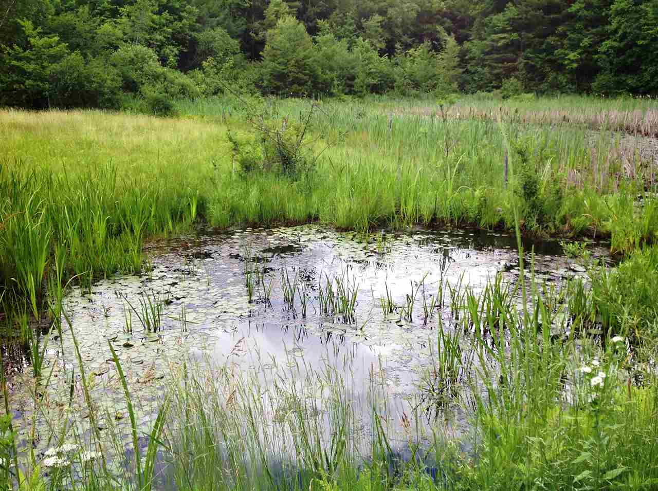 336 Gulf Road Chesterfield, NH 03466 - Photo 12 of 35