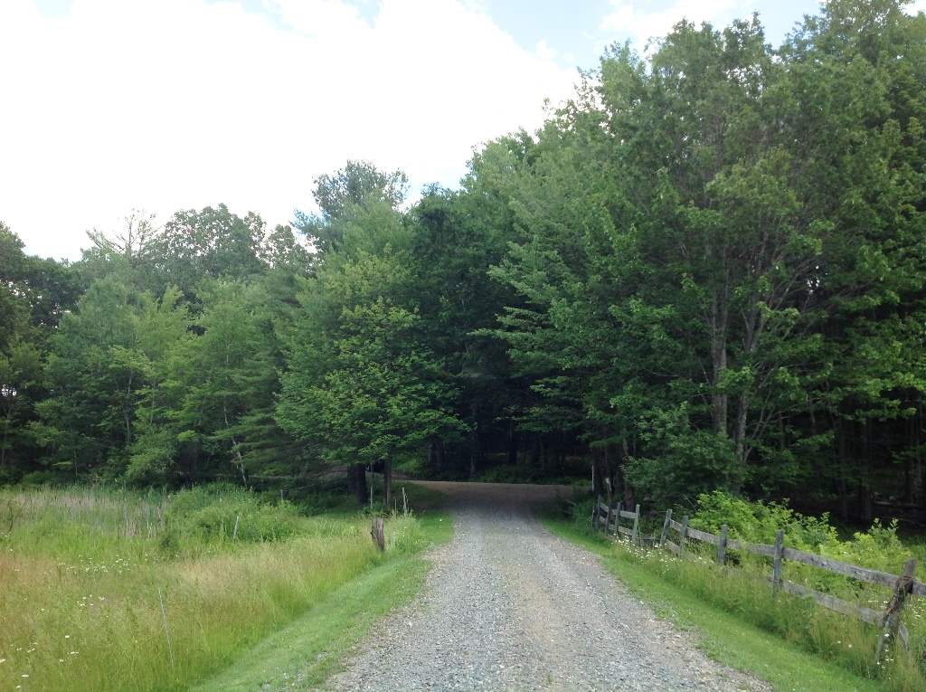 336 Gulf Road Chesterfield, NH 03466 - Photo 28 of 35