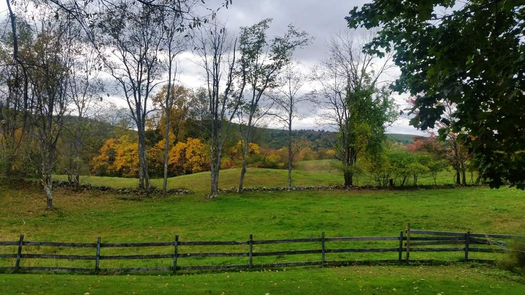 336 Gulf Road Chesterfield, NH 03466 - Photo 10 of 35