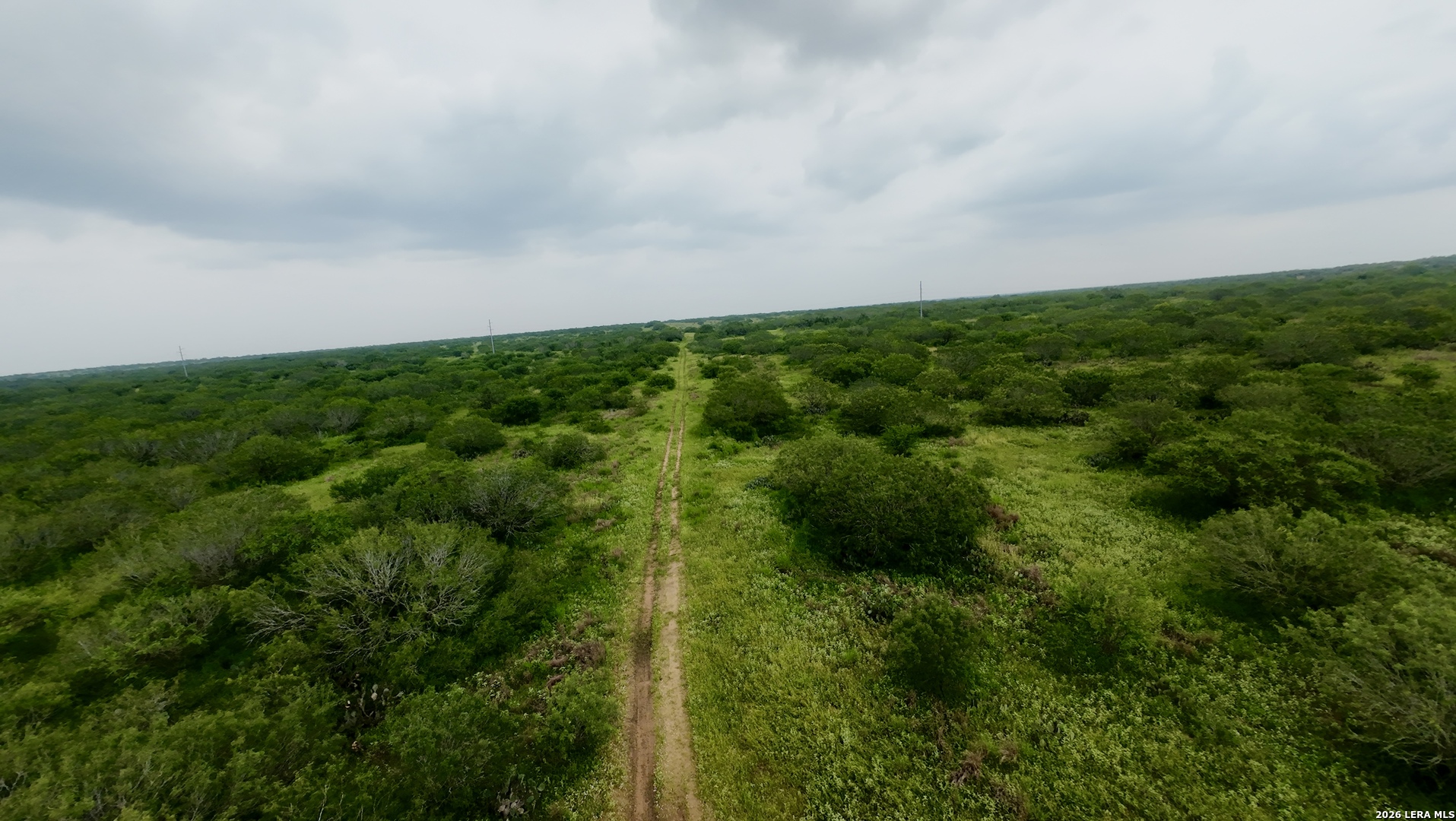 0 Farm To Market Rd 3249 Realitos, TX 78376 - Photo 6 of 14