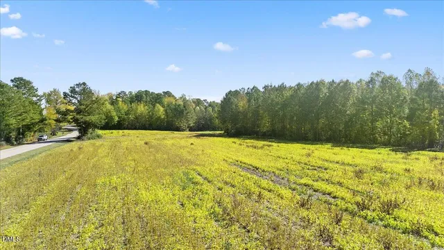 a view of a yard with swimming pool and green space