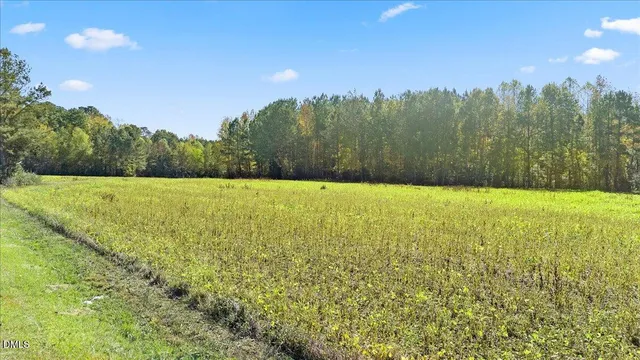 a view of an outdoor space and a yard