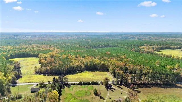 a view of a city with lawn chairs and a couple of flower plants