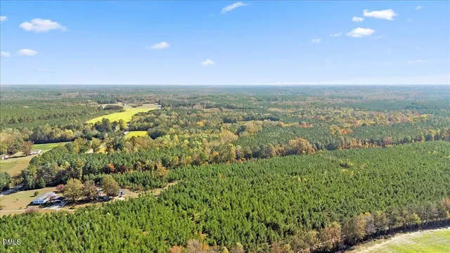 a view of a city with lush green forest