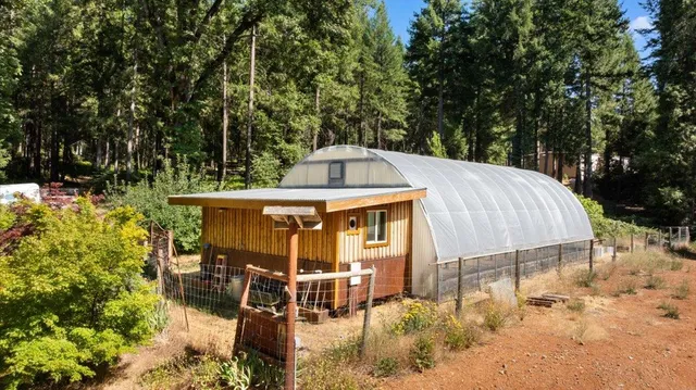 a view of a patio with table and chairs and potted plants with large tree