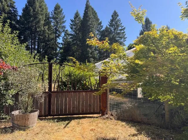 a view of a backyard with plants and tree