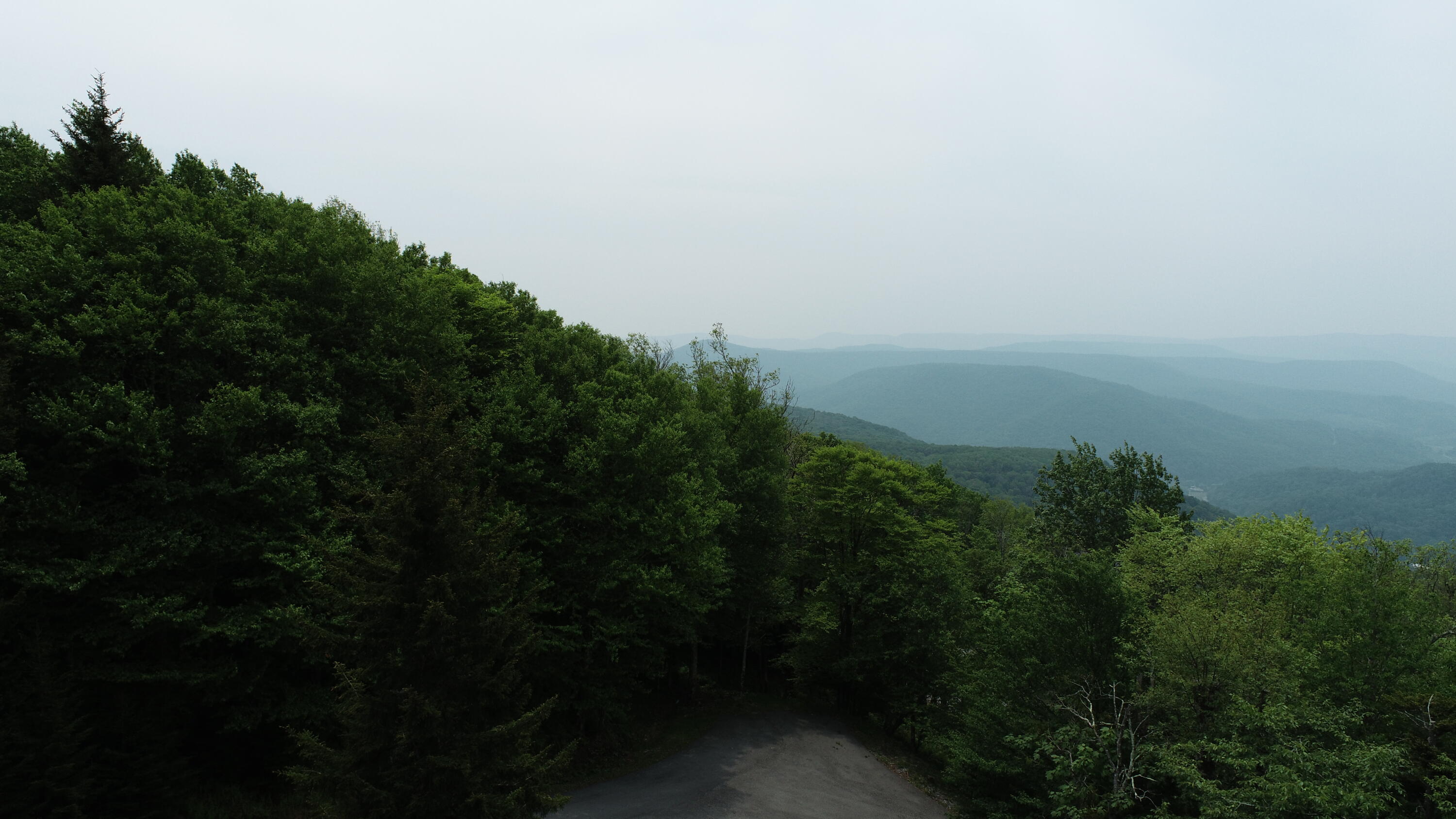 877 North Westridge Road Slatyfork, WV 26291 - Photo 70 of 70 Gallery Image 70