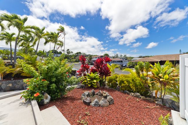a bunch of flowers and flowers in a garden