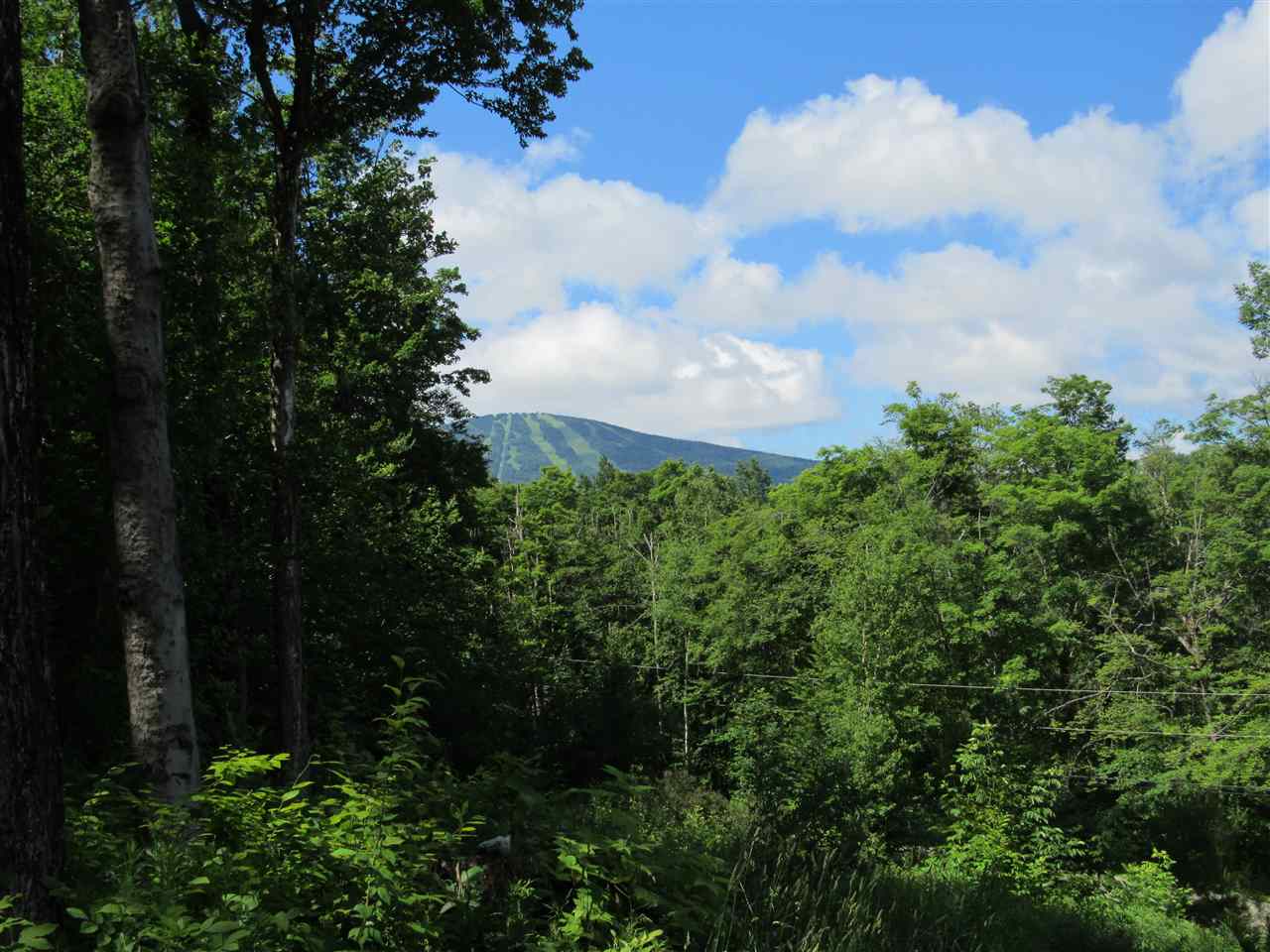 85 Todd Hill Road Winhall, VT 05340 - Photo 16 of 31 Gallery Image 16