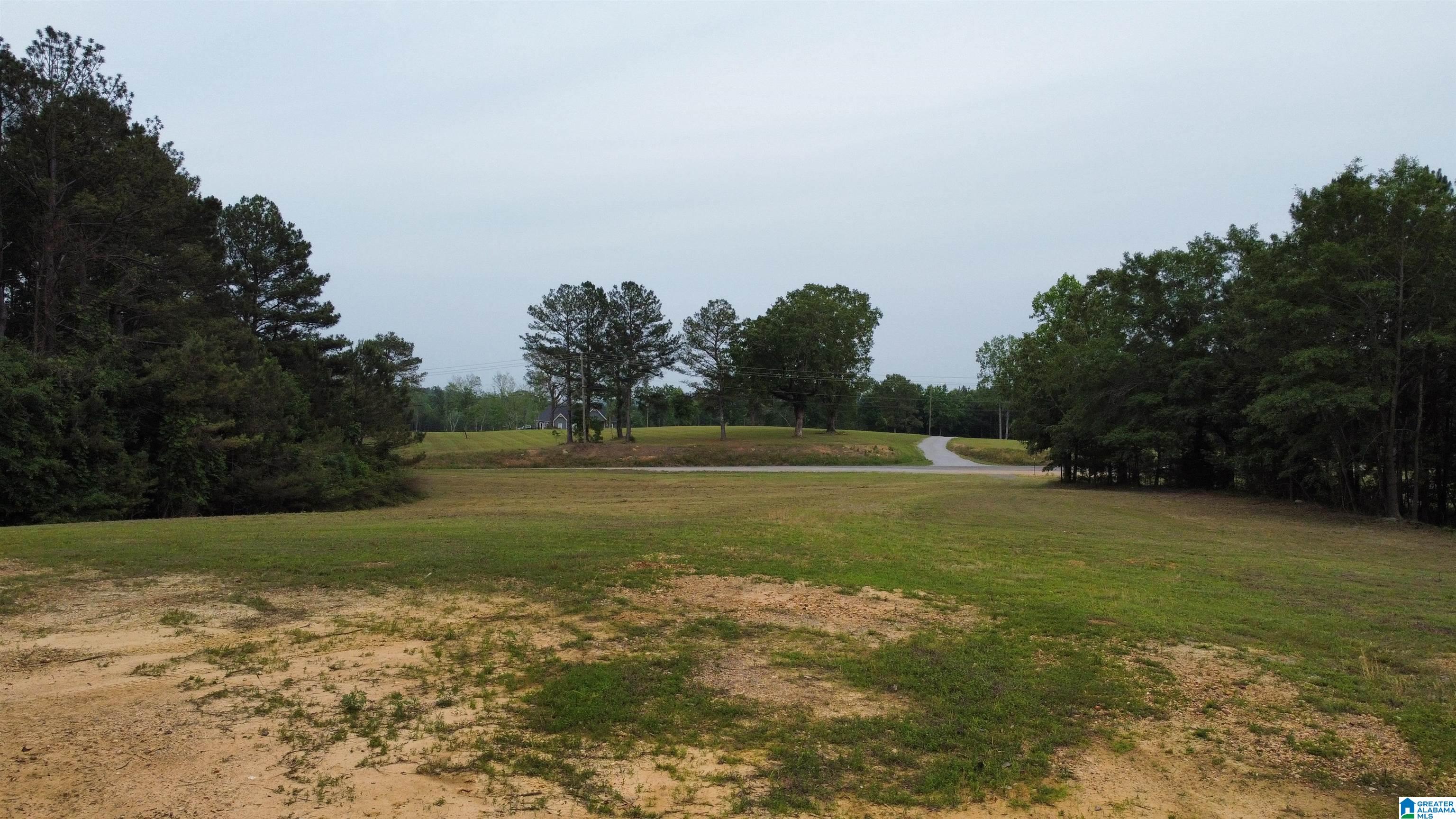 22909 Highway 195 Double Springs, AL 35553 - Photo 16 of 19