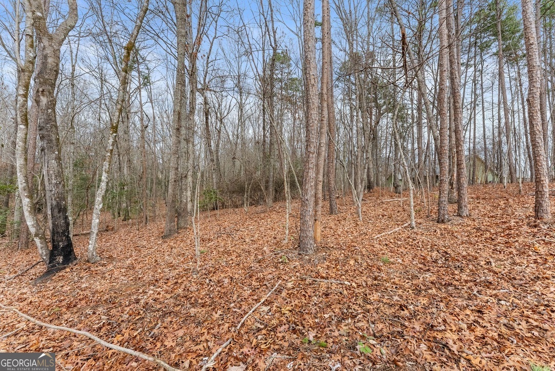 206 Shoals Way Clarkesville, GA 30523 - Photo 25 of 34 a backyard of a house with lots of green space