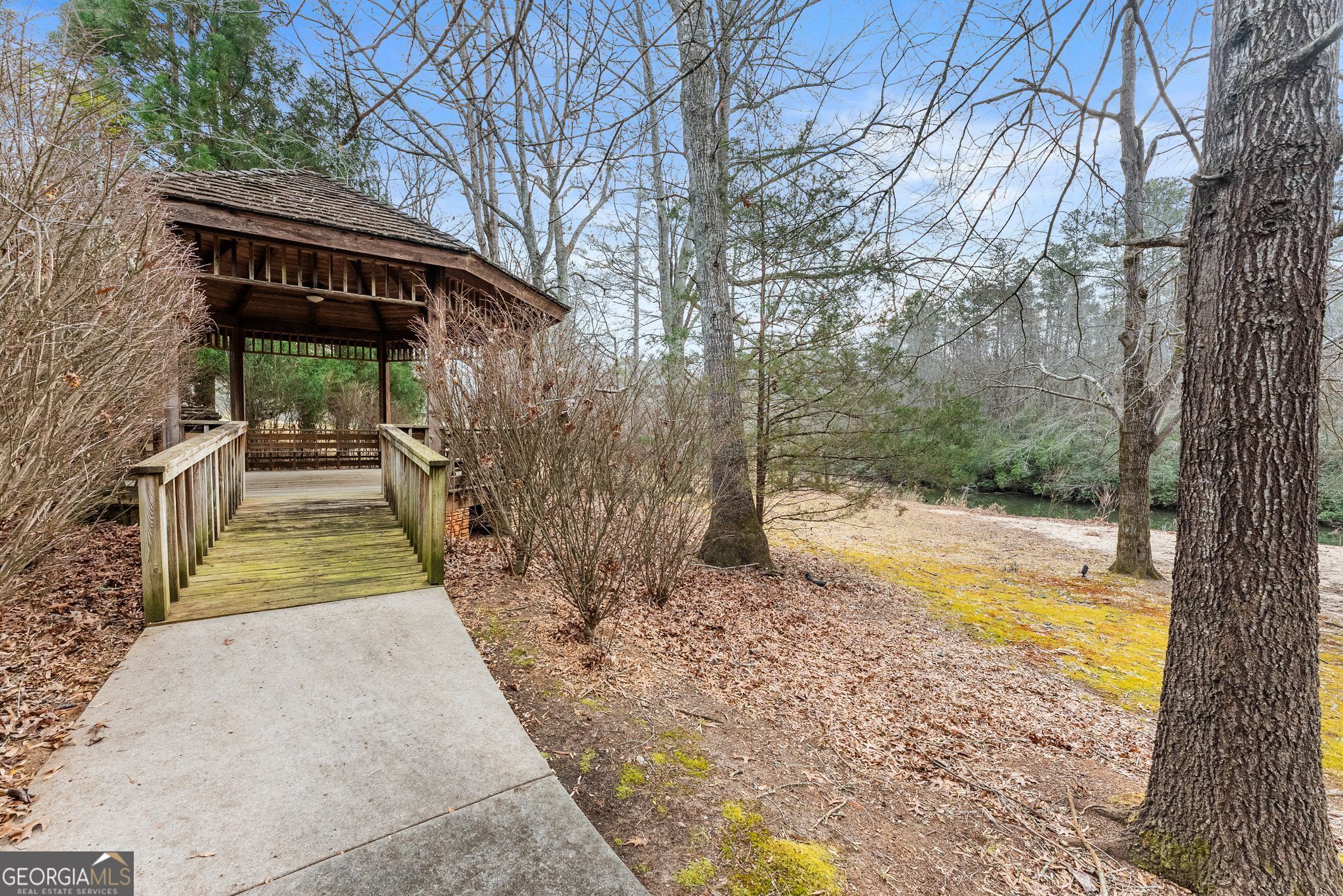 206 Shoals Way Clarkesville, GA 30523 - Photo 29 of 34 a view of a swimming pool with a patio and backyard