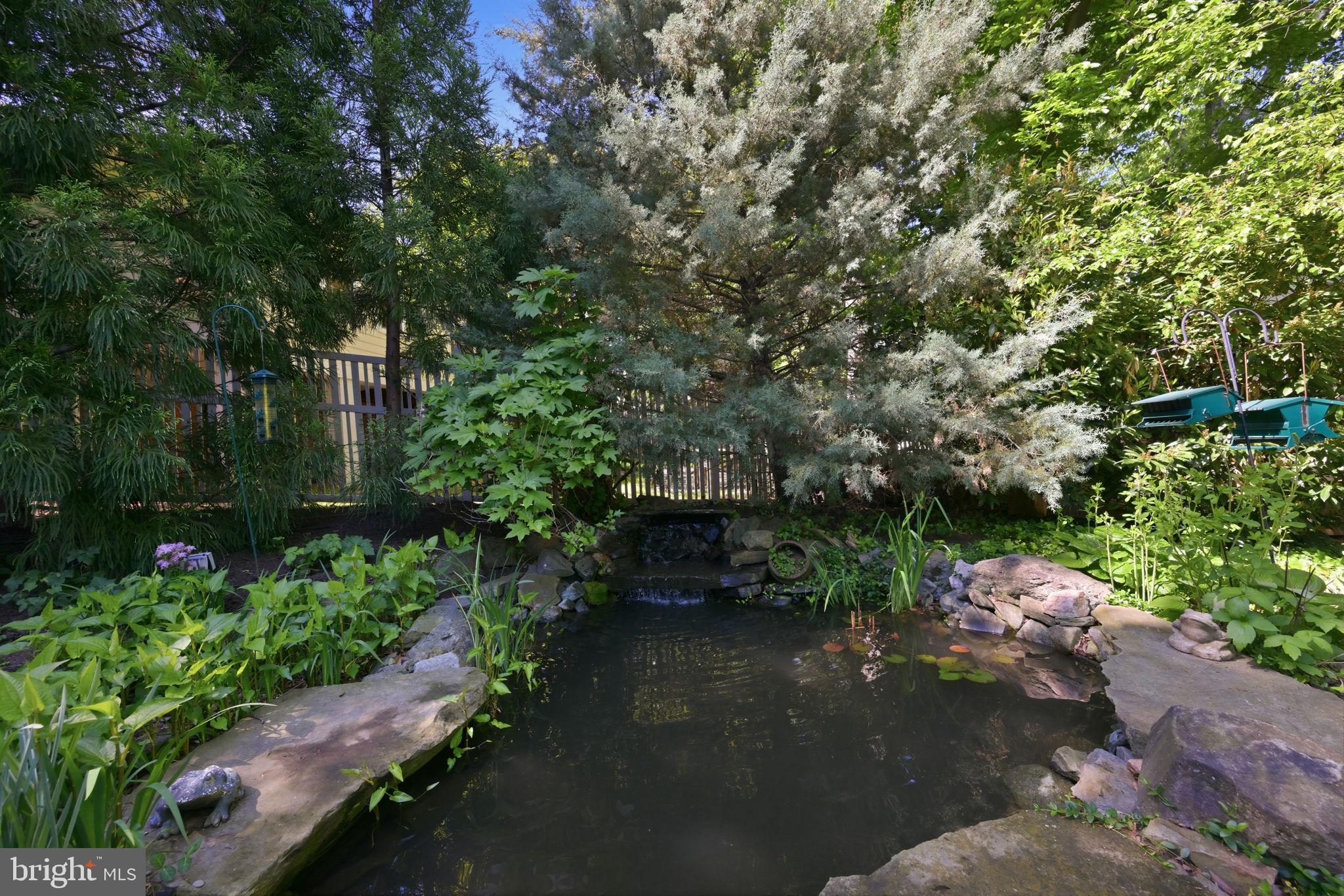 2800 Greenvale Street Chevy Chase, MD 20815 - Photo 70 of 77 Koi Pond