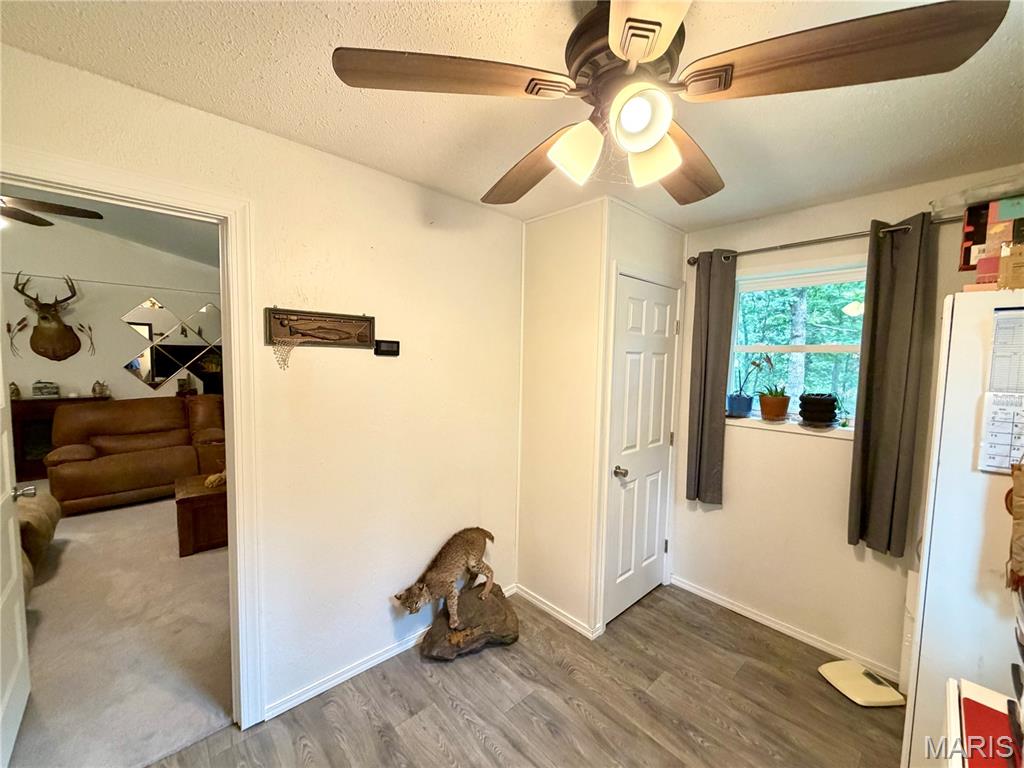 22711 Center Valley Road Hartshorn, MO 65479 - Photo 25 of 66
