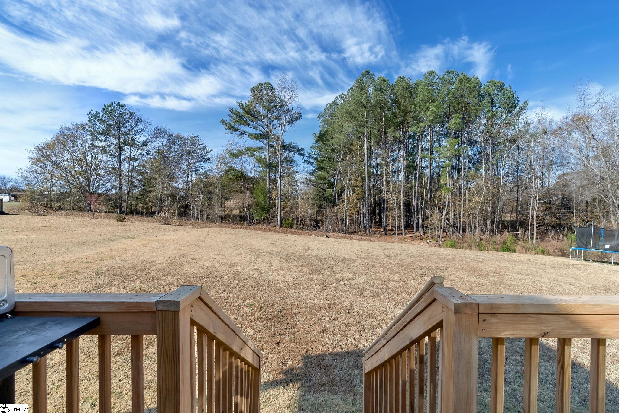 837 Ashton Ridge Road Inman, SC 29349 - Photo 32 of 37