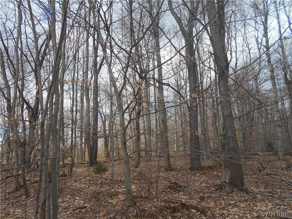 0 Genesee Road Lawtons, NY 14091 - Photo 22 of 34