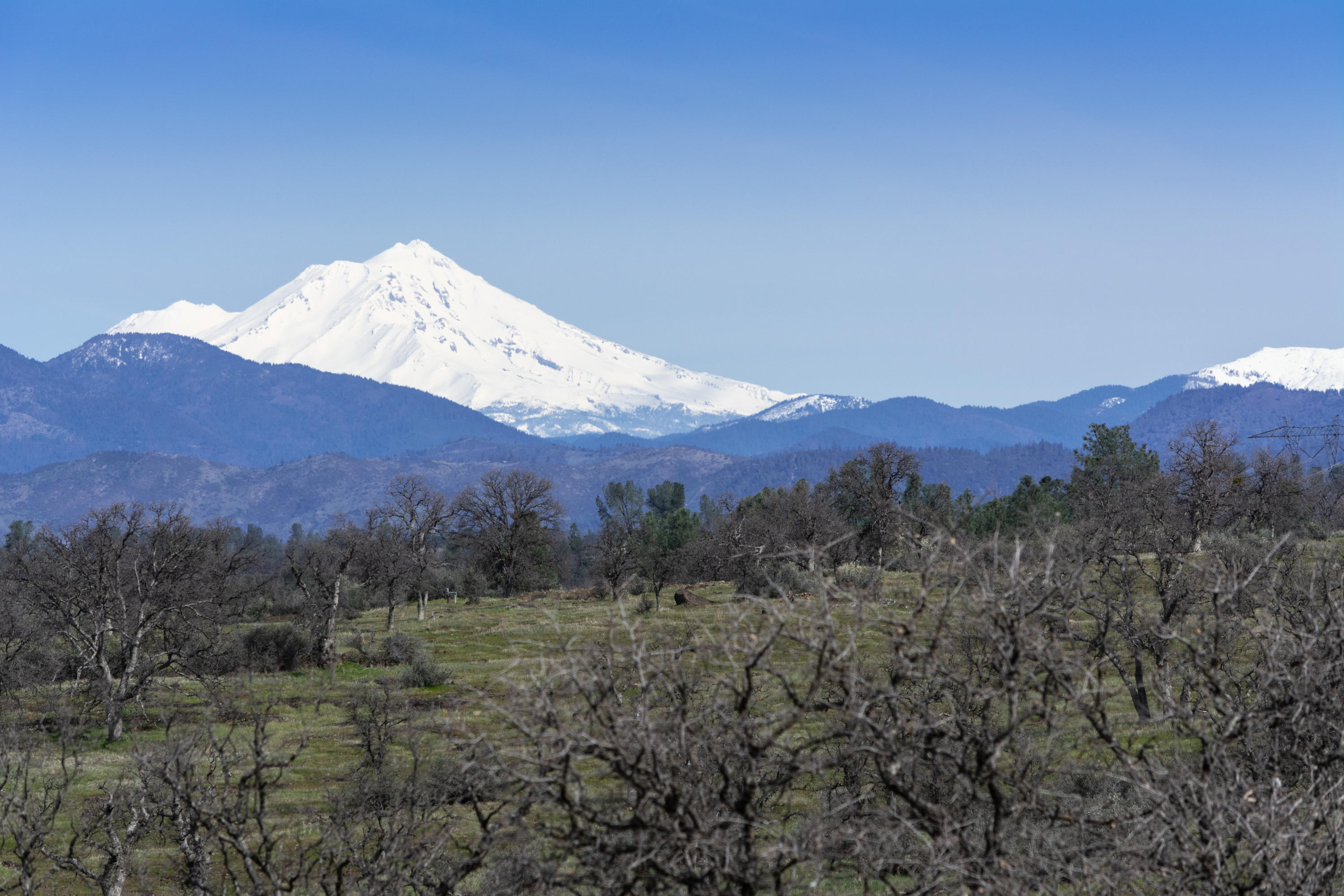24499 Bascom Road Millville, CA 96062 - Photo 1 of 28 View From Property - Mt. Shasta