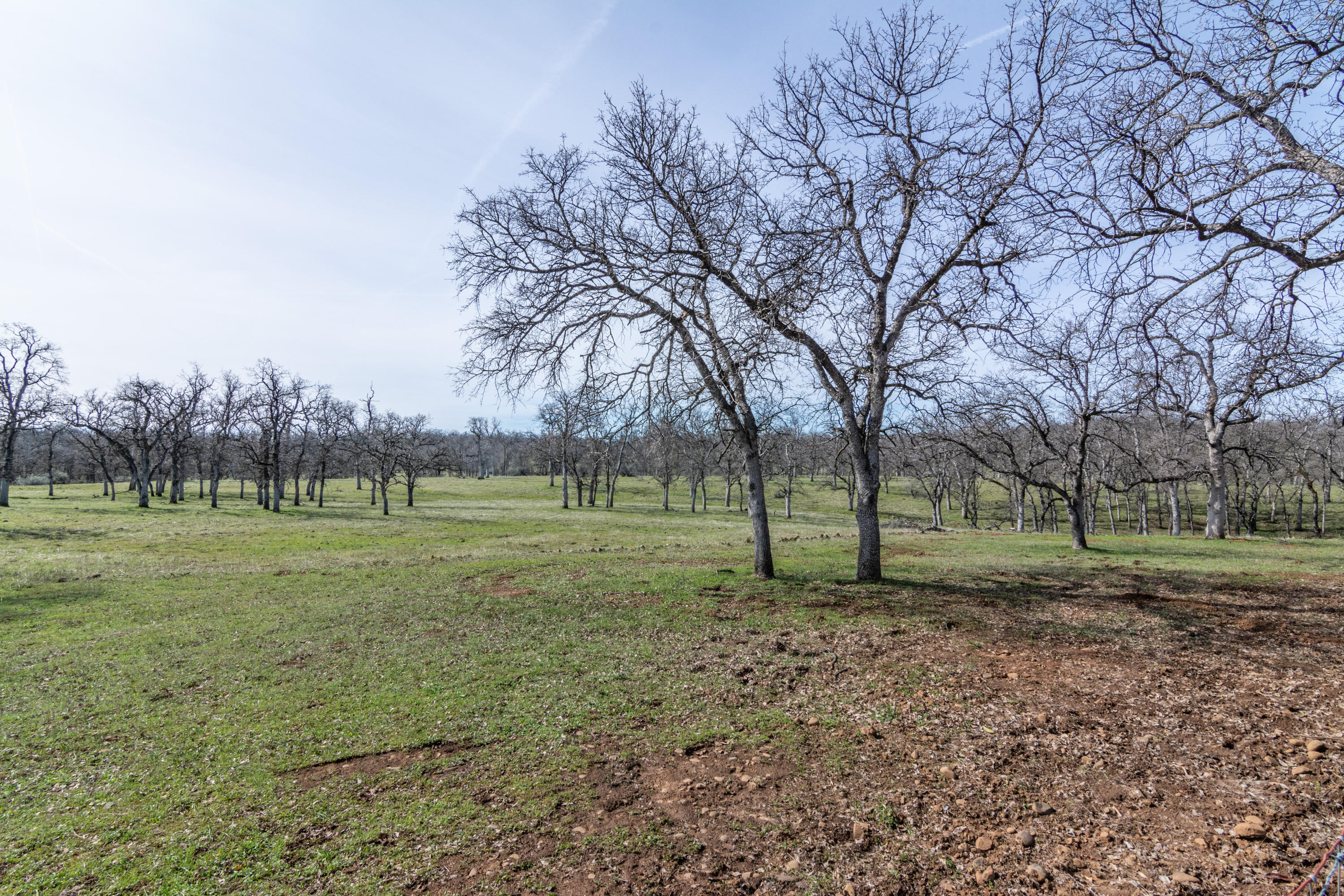24499 Bascom Road Millville, CA 96062 - Photo 24 of 28 Acreage