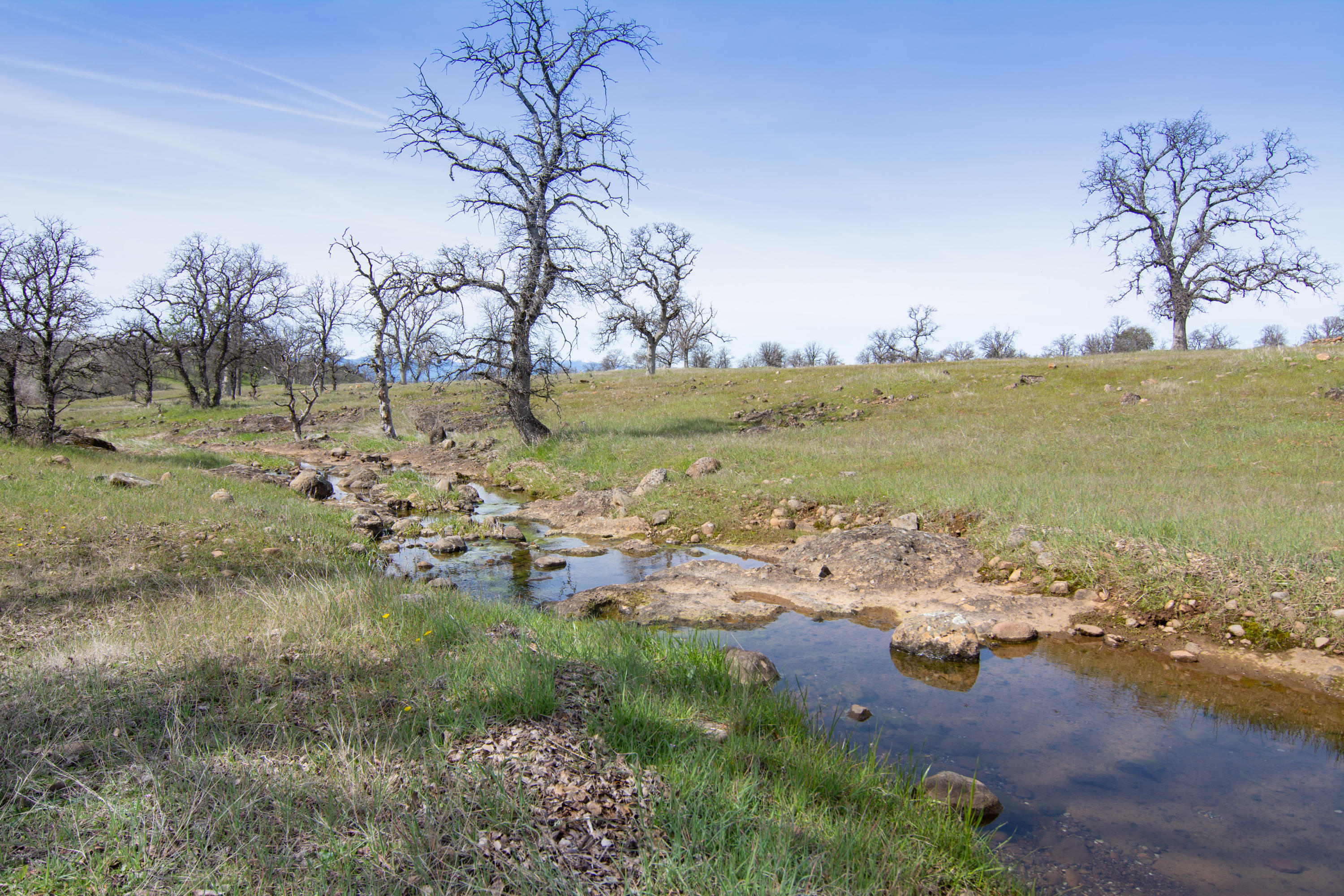 24499 Bascom Road Millville, CA 96062 - Photo 3 of 28 Creek