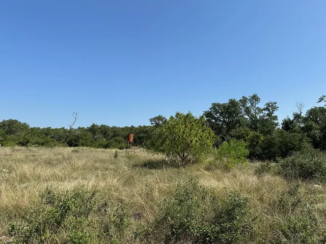 a view of a field of grass and trees